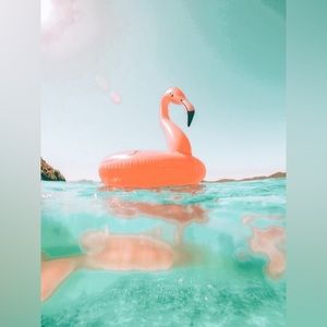 Meet your Posher, theantiV